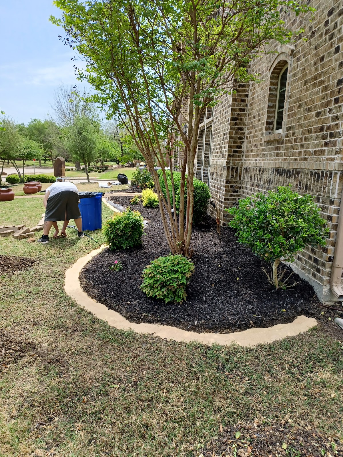 Landscaping work in progress