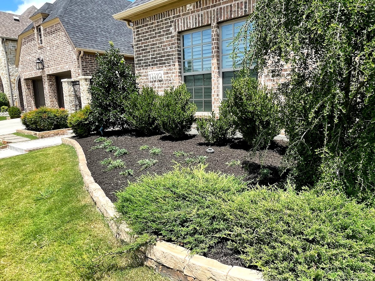 Front yard landscaping with stone edging